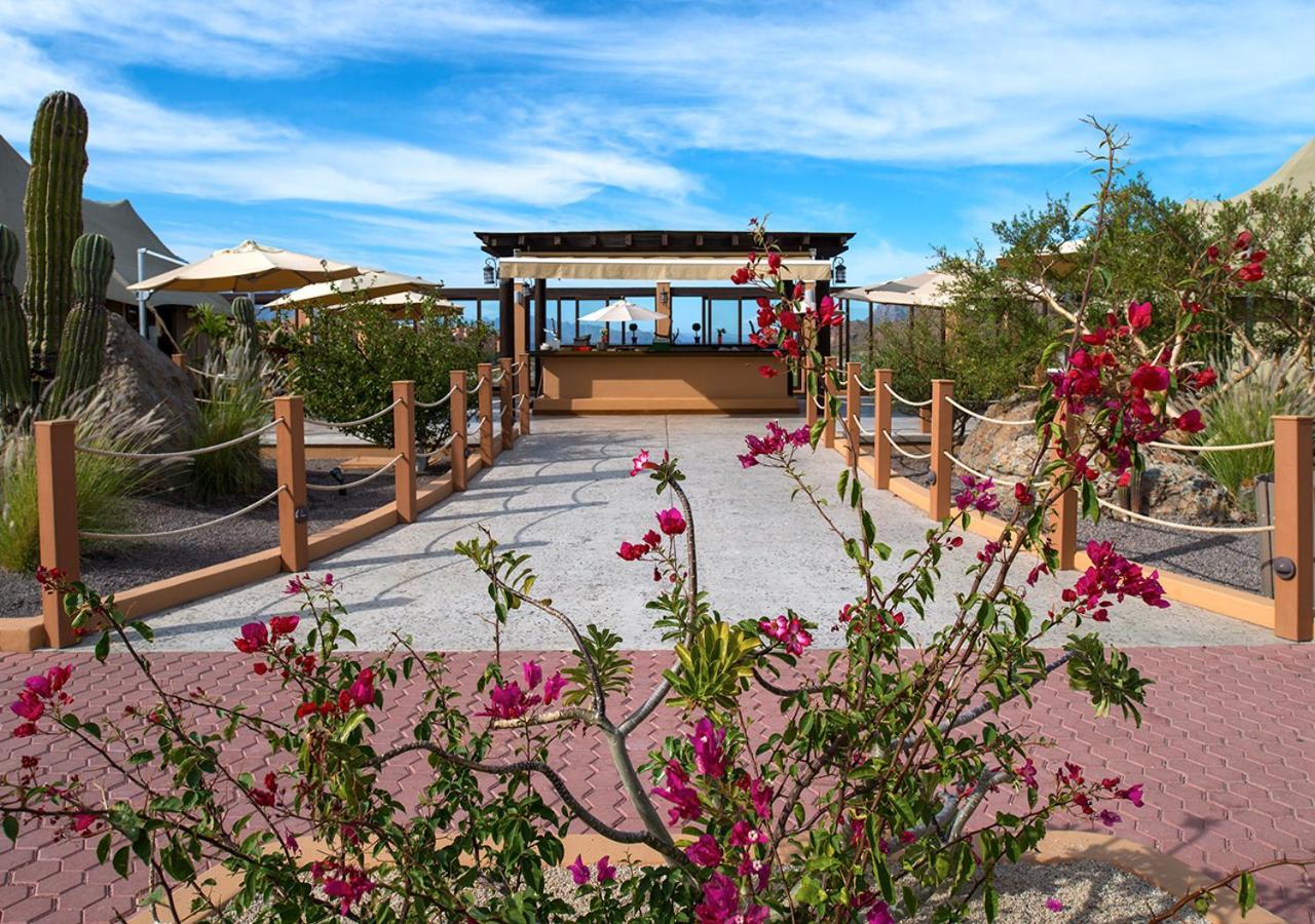 Villa Del Palmar At The Islands Of Loreto Loreto  Exterior foto